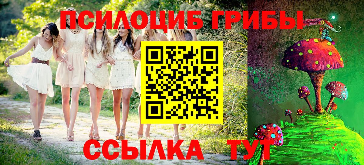 Псилоцибиновые грибы мицелий Феодосия